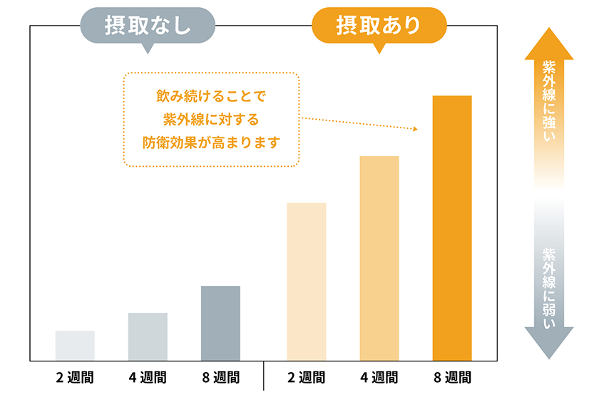 飲み続けることで紫外線に対する防衛効果が高まります