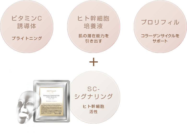 200～500種類の因子の中で、最も肌に対して効果が高い成長因子のみで構成されるSC-シグナリング。ヒト幹細胞培養液の効果を大幅に高めてくれます。