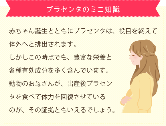 プラセンタ デンタルクリニックpure恵比寿 プラセンタ デンタルクリニックpure恵比寿